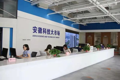 安徽科技大市場(chǎng)公開(kāi)遴選科技信息咨詢服務(wù)機(jī)構(gòu)，助力科技創(chuàng)新發(fā)展